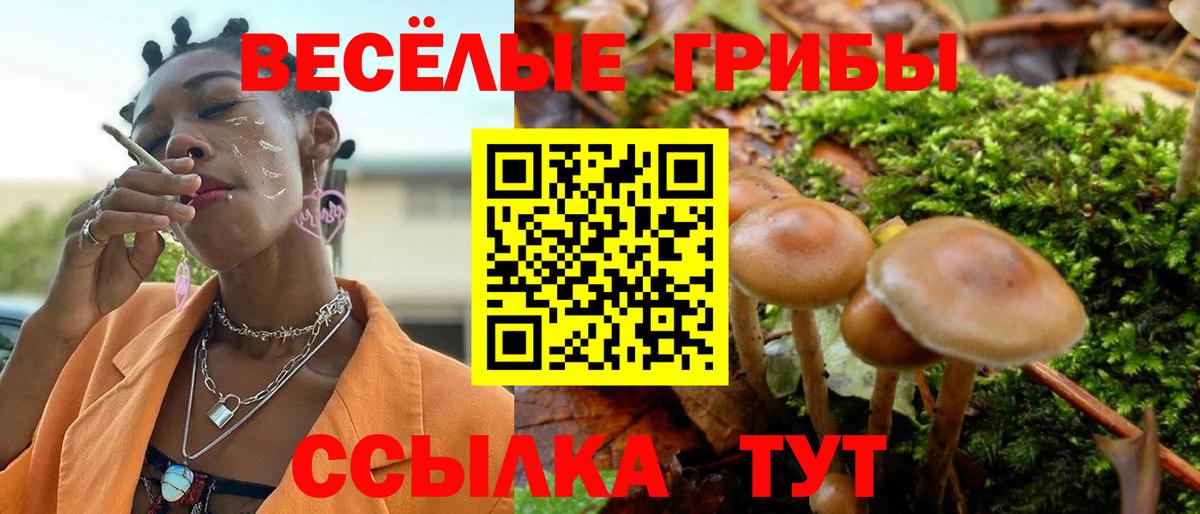 Псилоцибиновые грибы ЛСД  Вход с VPN  Галлюциногенные грибы ЛСД  Ишимбай 