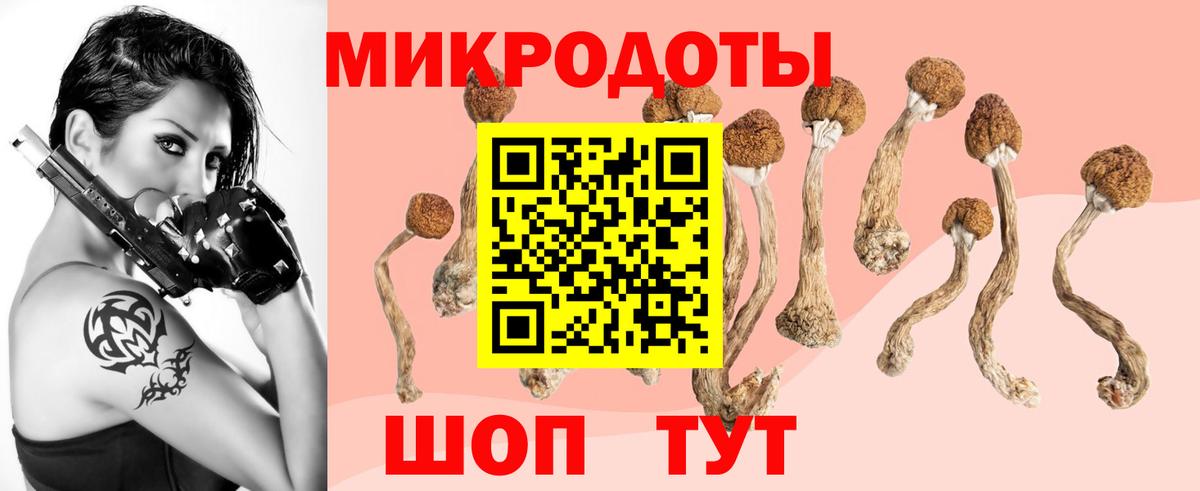 Псилоцибиновые грибы мухоморы Ишимбай
